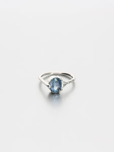 Ada XVII,  Platinum